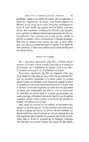 page suivante →