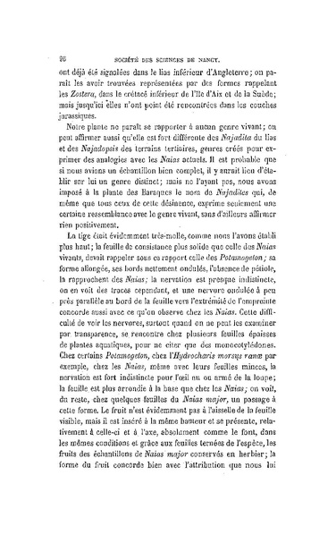 Fichier:ALS 1881 6 13.pdf