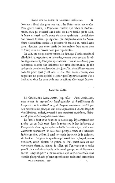 Fichier:ALS 1881 6 13.pdf