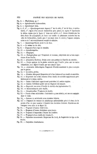 Fichier:ALS 1881 6 13.pdf