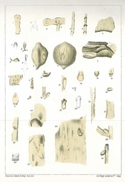 page suivante →
