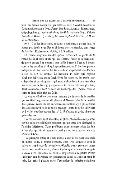Fichier:ALS 1881 6 13.pdf