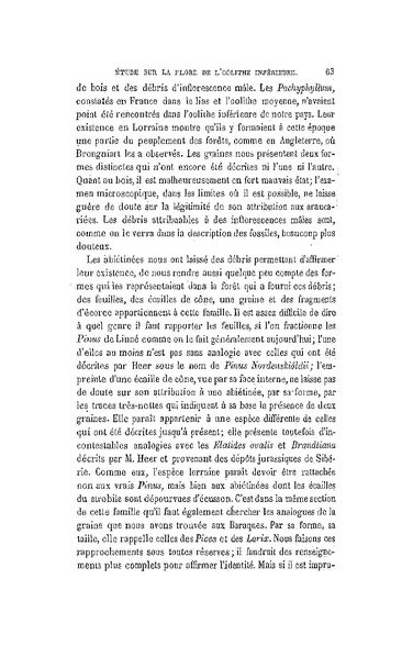 Fichier:ALS 1881 6 13.pdf
