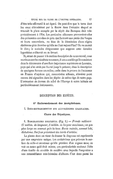 Fichier:ALS 1881 6 13.pdf