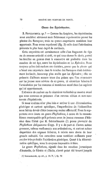 Fichier:ALS 1881 6 13.pdf