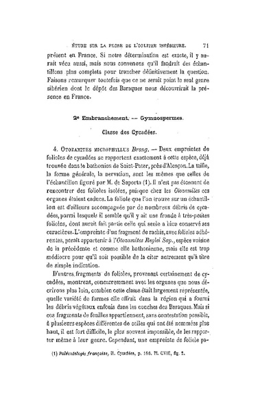 Fichier:ALS 1881 6 13.pdf