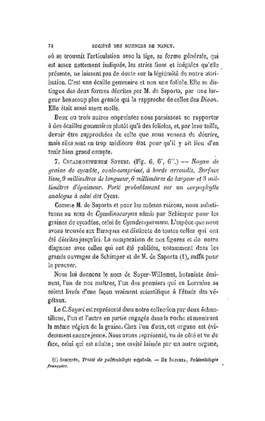 Fichier:ALS 1881 6 13.pdf