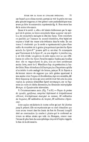 Fichier:ALS 1881 6 13.pdf