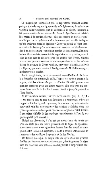 Fichier:ALS 1881 6 13.pdf