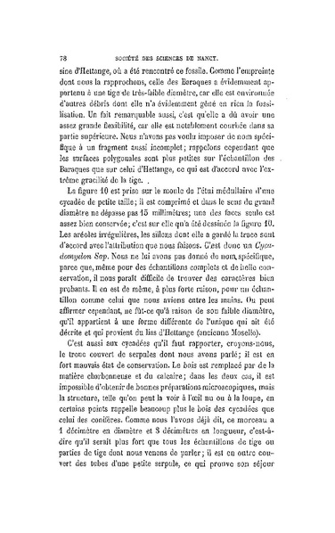 Fichier:ALS 1881 6 13.pdf