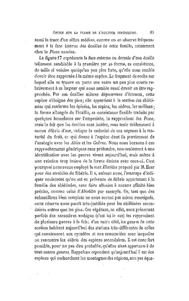 Fichier:ALS 1881 6 13.pdf