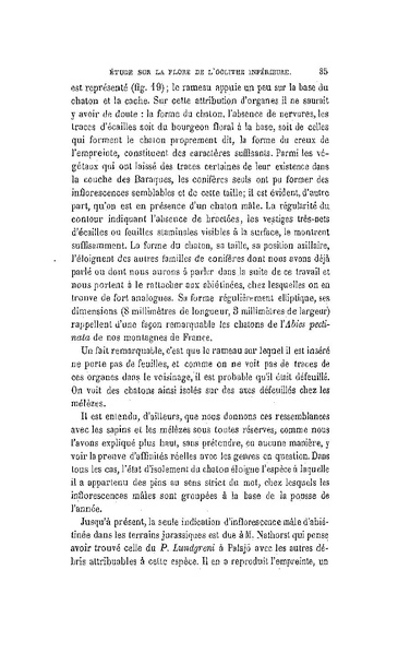 Fichier:ALS 1881 6 13.pdf
