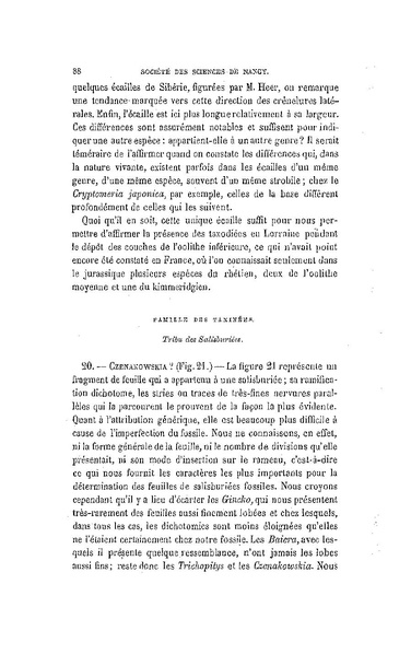 Fichier:ALS 1881 6 13.pdf