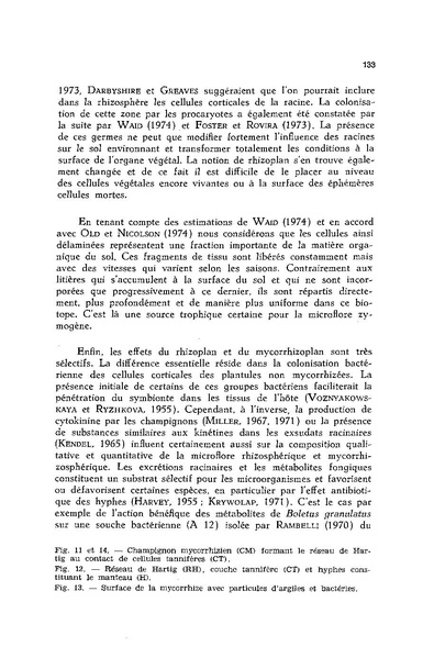 Fichier:ALS 1977 16 4.pdf
