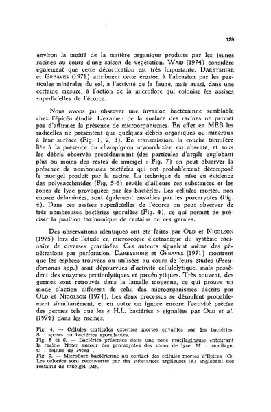 Fichier:ALS 1977 16 4.pdf