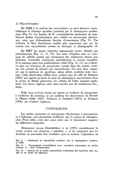 Fichier:ALS 1977 16 4.pdf