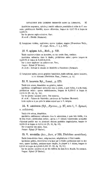 Fichier:ALS 1899 16 34.pdf