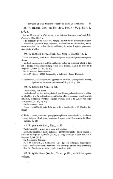 Fichier:ALS 1899 16 34.pdf