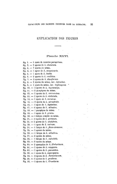 Fichier:ALS 1899 16 34.pdf
