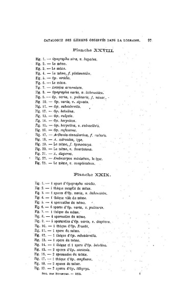 Fichier:ALS 1899 16 34.pdf