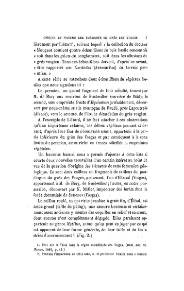 Fichier:ALS 1899 16 34.pdf