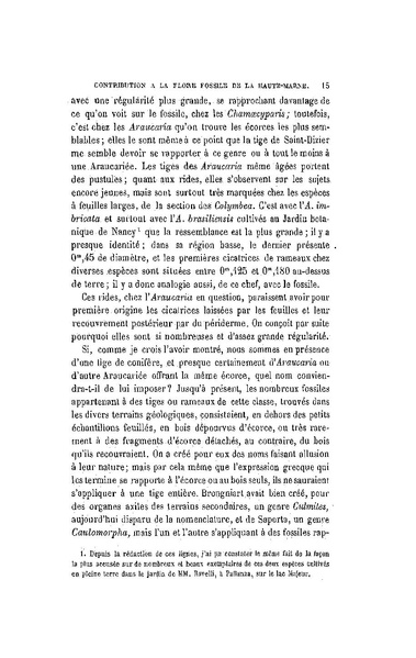 Fichier:ALS 1899 16 34.pdf