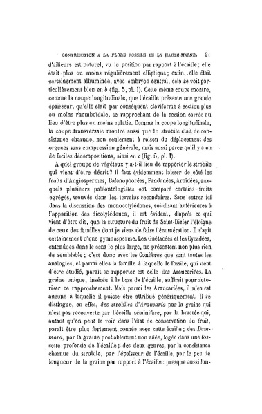 Fichier:ALS 1899 16 34.pdf