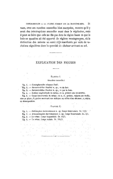 Fichier:ALS 1899 16 34.pdf