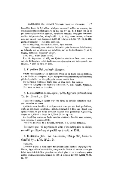 Fichier:ALS 1899 16 34.pdf