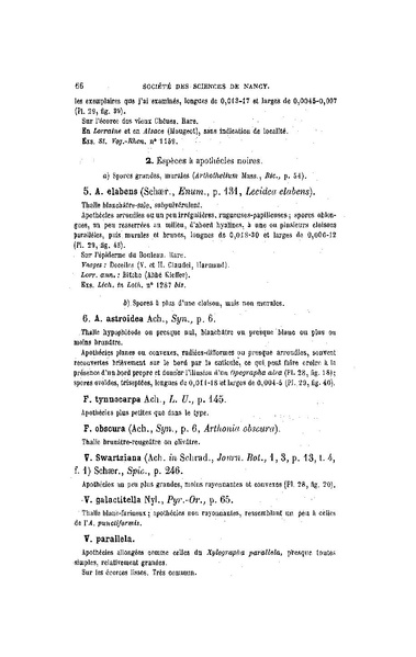 Fichier:ALS 1899 16 34.pdf