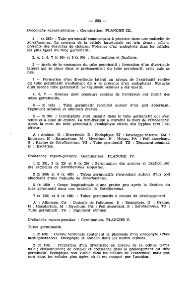 Fichier:ALS 1973 12 4.pdf