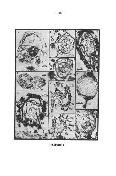 Fichier:ALS 1973 12 4.pdf