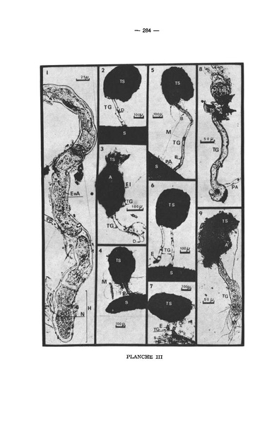 Fichier:ALS 1973 12 4.pdf