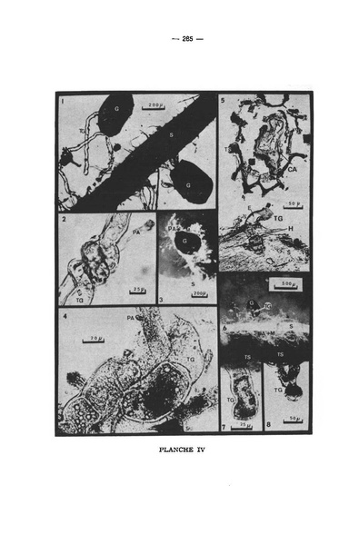 Fichier:ALS 1973 12 4.pdf