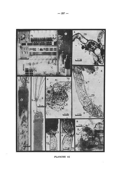 Fichier:ALS 1973 12 4.pdf