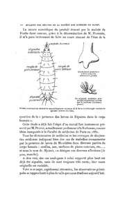 page suivante →