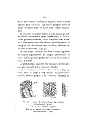 ← page précédente
