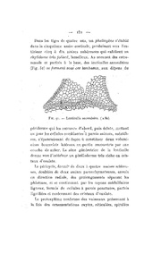 ← page précédente