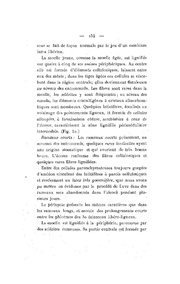 ← page précédente