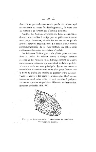 Fichier:ALS 1930 2.pdf