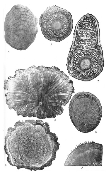 Fichier:ALS 1930 2.pdf