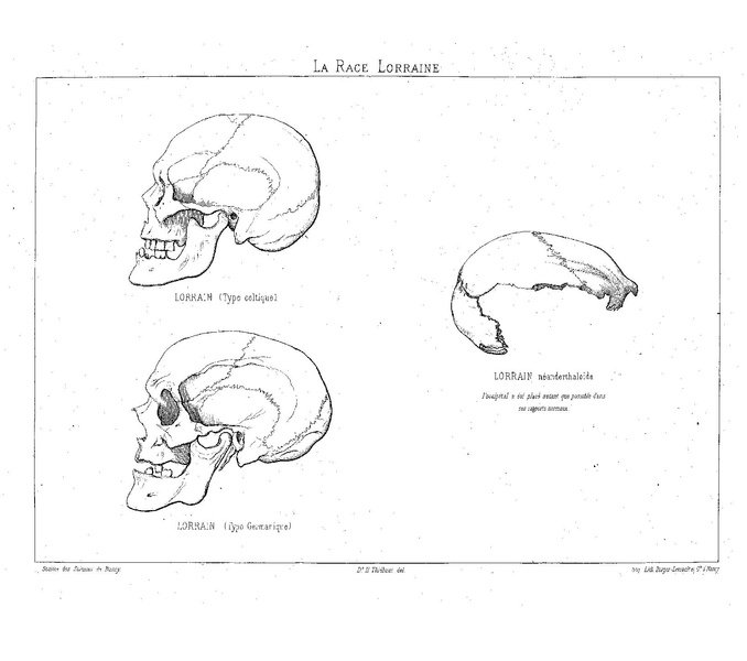 Fichier:ALS 1880 5 12.pdf