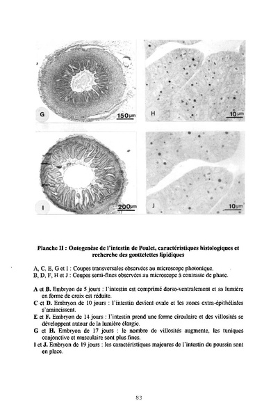 Fichier:ALS 1996 35 2.pdf