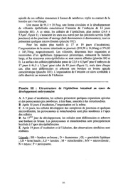 page suivante →