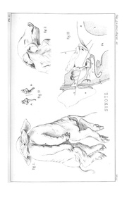 page suivante →