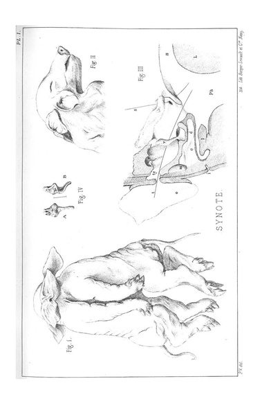 Fichier:ALS 1884 7 17.pdf