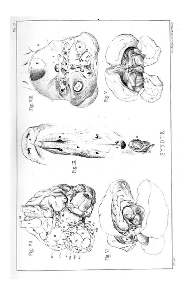 Fichier:ALS 1884 7 17.pdf