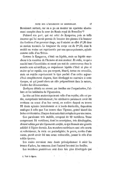 Fichier:ALS 1884 7 17.pdf