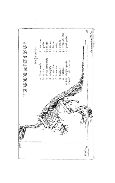 Fichier:ALS 1884 7 17.pdf