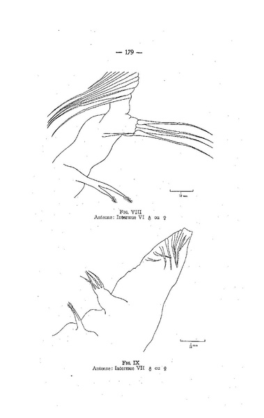 Fichier:ALS 1959 2.pdf